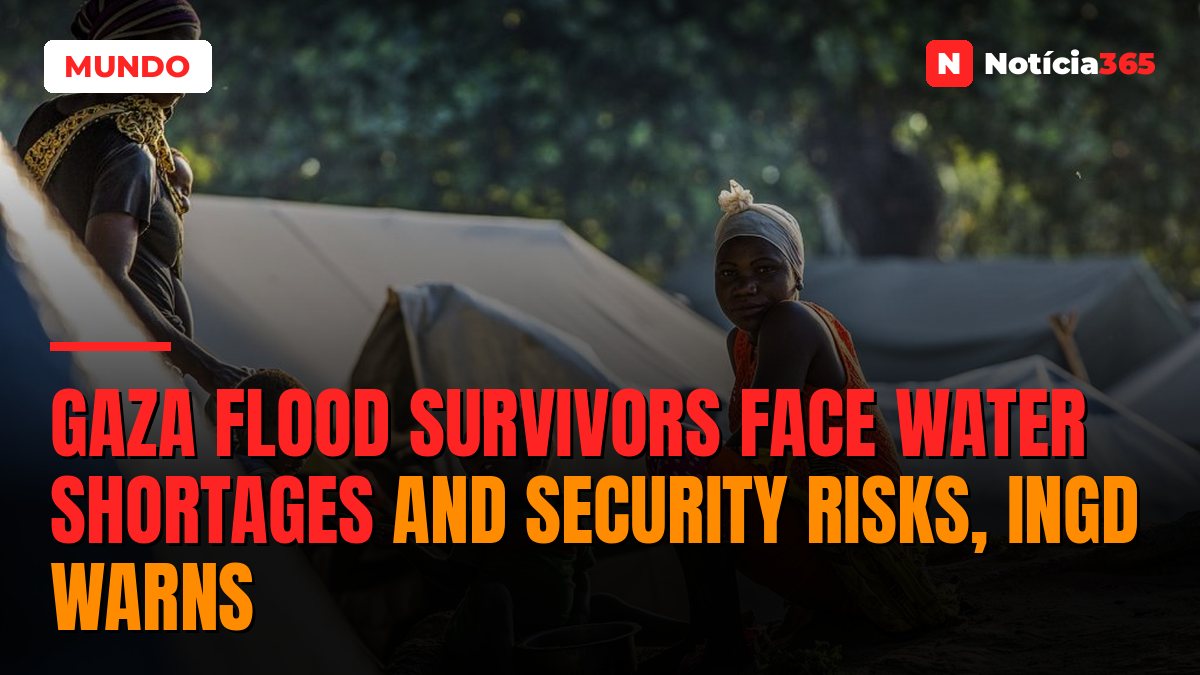 Gaza Flood Survivors Face Water Shortages and Security Risks, INGD Warns