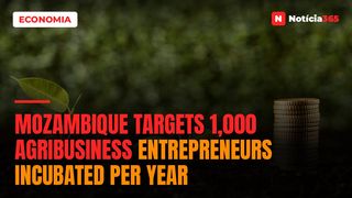 Mozambique Targets 1,000 Agribusiness Entrepreneurs Incubated Per Year