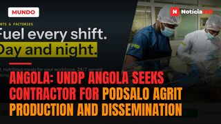 Angola: UNDP Angola Seeks Contractor For PodSalo AgriT Production And Dissemination