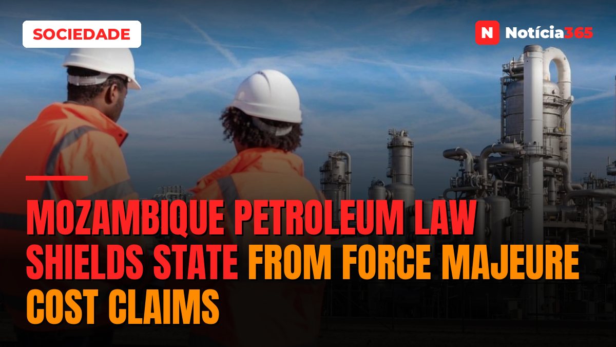 Mozambique Petroleum Law Shields State From Force Majeure Cost Claims