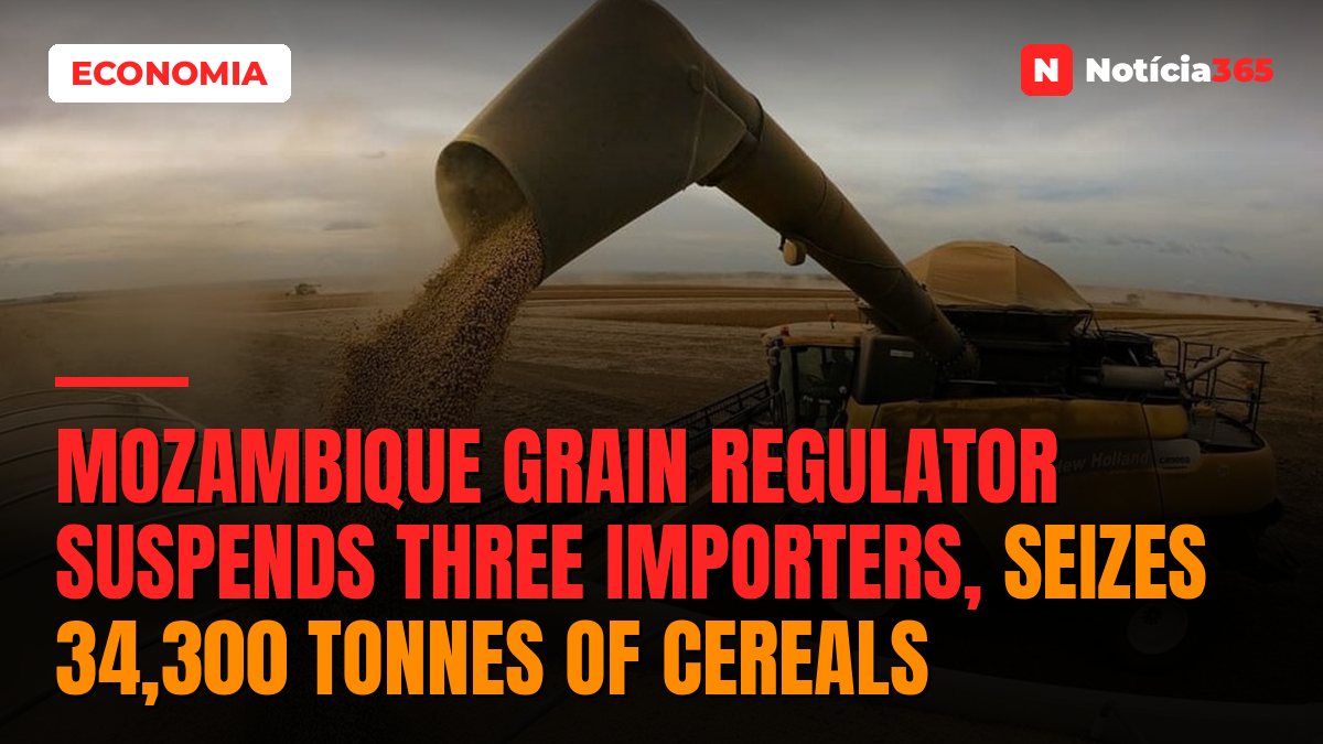 Mozambique Grain Regulator Suspends Three Importers, Seizes 34,300 Tonnes of Cereals