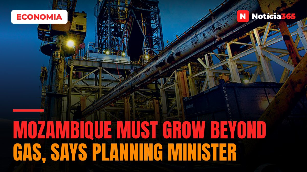 Mozambique Must Grow Beyond Gas, Says Planning Minister