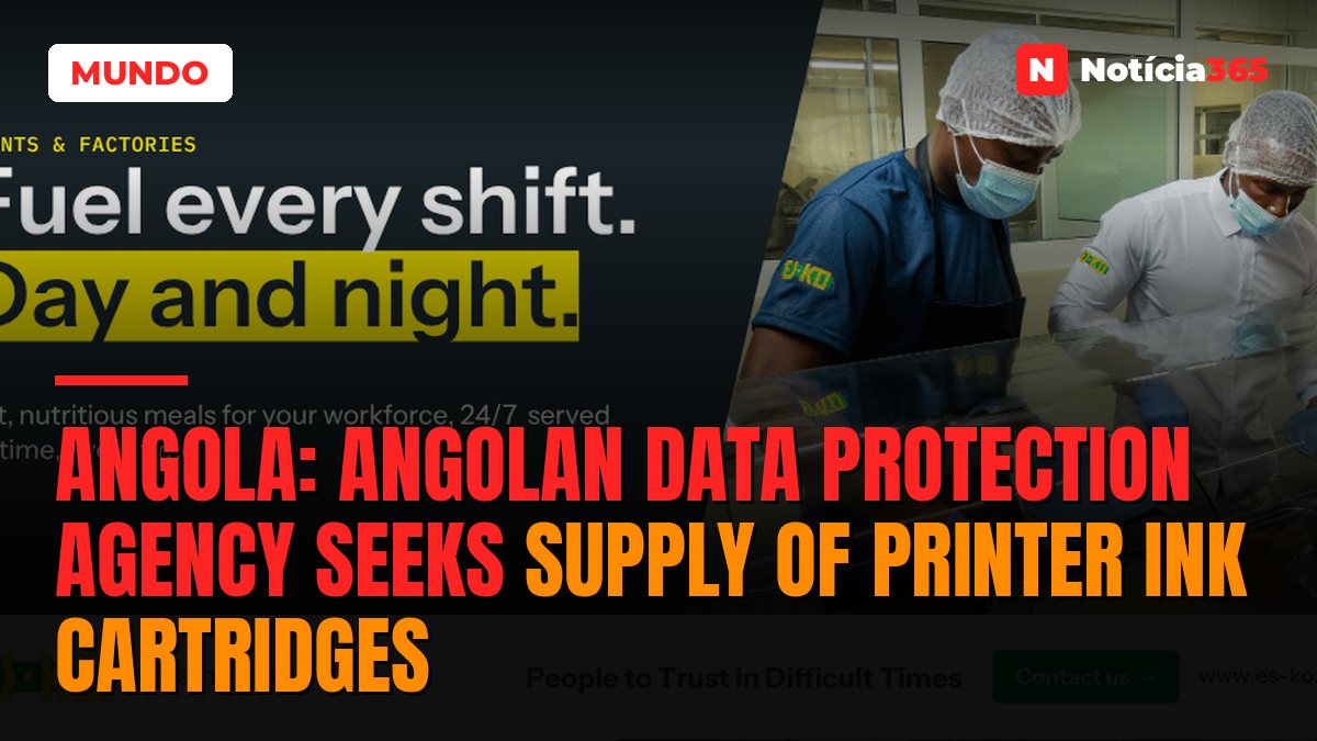 Angola: Angolan Data Protection Agency Seeks Supply of Printer Ink Cartridges