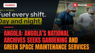 Angola: Angola’s National Archives Seeks Gardening and Green Space Maintenance Services