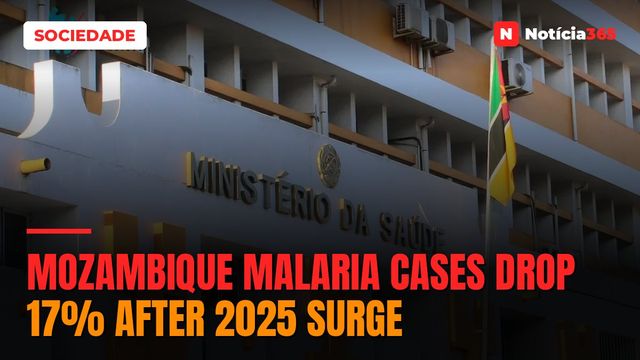 Mozambique Malaria Cases Drop 17% After 2025 Surge