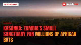 Kasanka: Zambia’s Small Sanctuary For Millions of African Bats