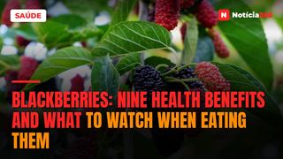 Blackberries: Nine Health Benefits And What to Watch When Eating Them