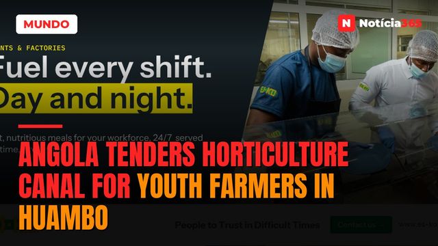 Angola Tenders Horticulture Canal for Youth Farmers in Huambo