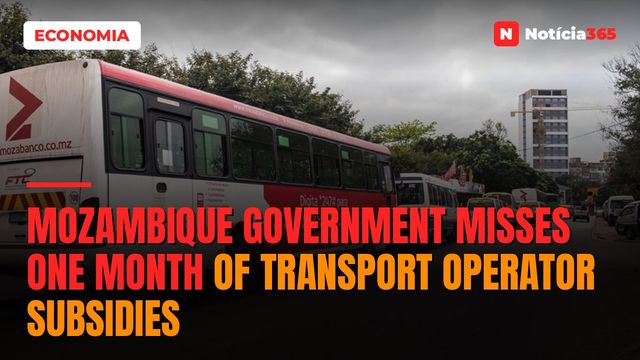 Mozambique Government Misses One Month of Transport Operator Subsidies