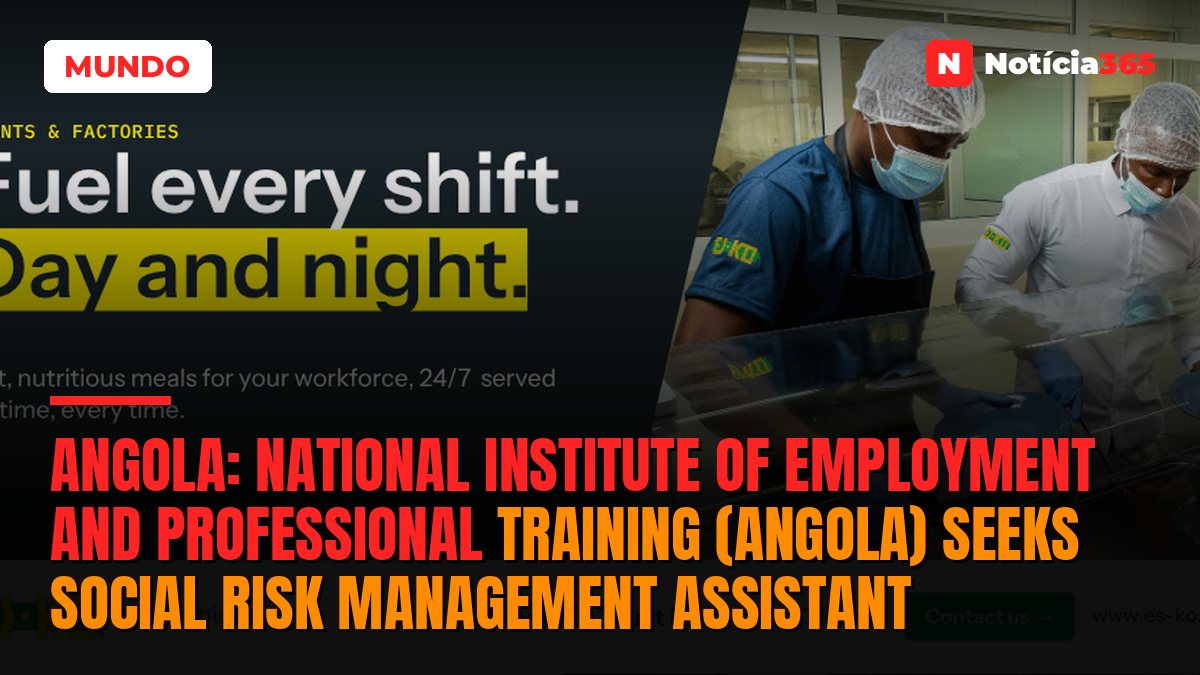 Angola: National Institute of Employment And Professional Training (Angola) Seeks Social Risk Management Assistant