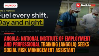 Angola: National Institute of Employment And Professional Training (Angola) Seeks Social Risk Management Assistant