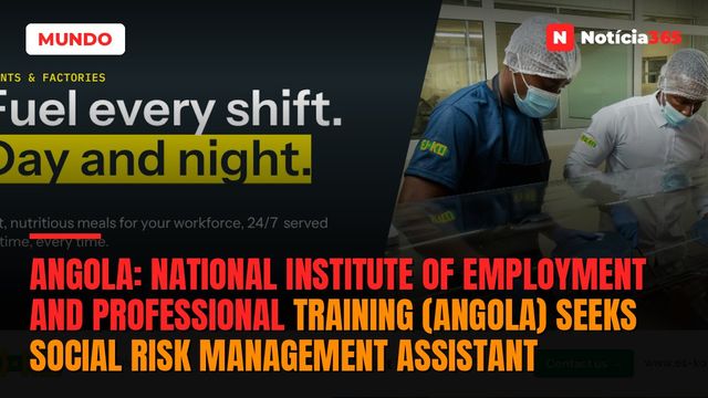Angola: National Institute of Employment And Professional Training (Angola) Seeks Social Risk Management Assistant