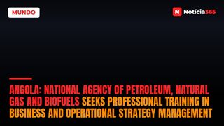 Angola: National Agency of Petroleum, Natural Gas and Biofuels Seeks Professional Training in Business And Operational Strategy Management
