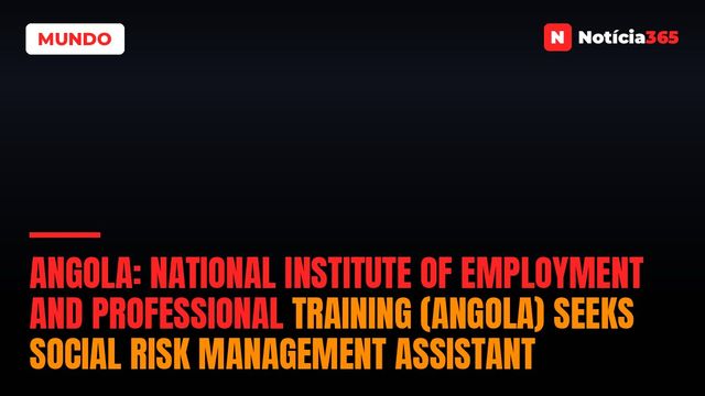 Angola: National Institute of Employment And Professional Training (Angola) Seeks Social Risk Management Assistant