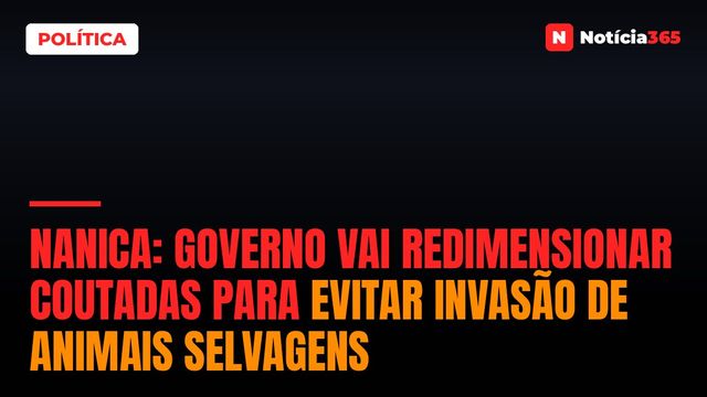 NANICA: GOVERNO VAI REDIMENSIONAR COUTADAS PARA EVITAR INVASÃO DE ANIMAIS SELVAGENS