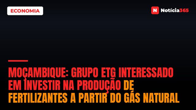 Moçambique: Grupo ETG interessado em investir na produção de fertilizantes a partir do gás natural
