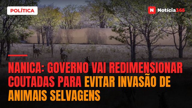 NANICA: GOVERNO VAI REDIMENSIONAR COUTADAS PARA EVITAR INVASÃO DE ANIMAIS SELVAGENS