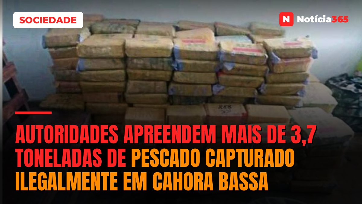 Autoridades apreendem mais de 3,7 toneladas de pescado capturado ilegalmente em Cahora Bassa
