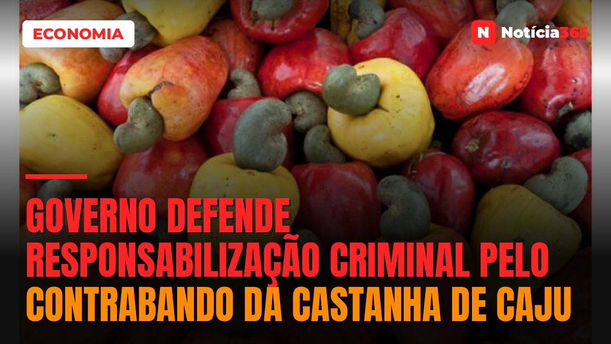 Governo defende responsabilização criminal pelo contrabando da castanha de caju