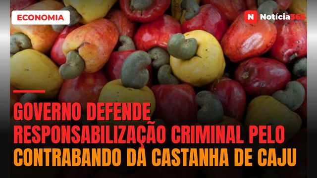Governo defende responsabilização criminal pelo contrabando da castanha de caju