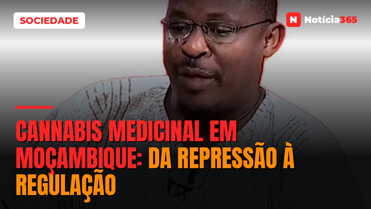 Cannabis medicinal em Moçambique: da repressão à regulação