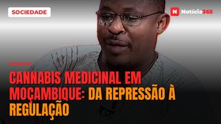 Cannabis medicinal em Moçambique: da repressão à regulação