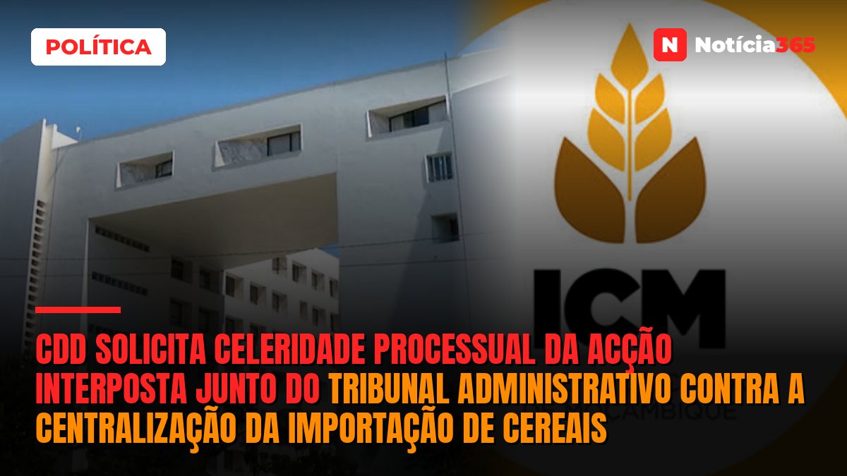 CDD solicita celeridade processual da acção interposta junto do Tribunal Administrativo contra a centralização da importação de cereais