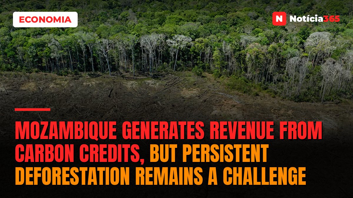 Mozambique generates revenue from carbon credits, but persistent deforestation remains a challenge