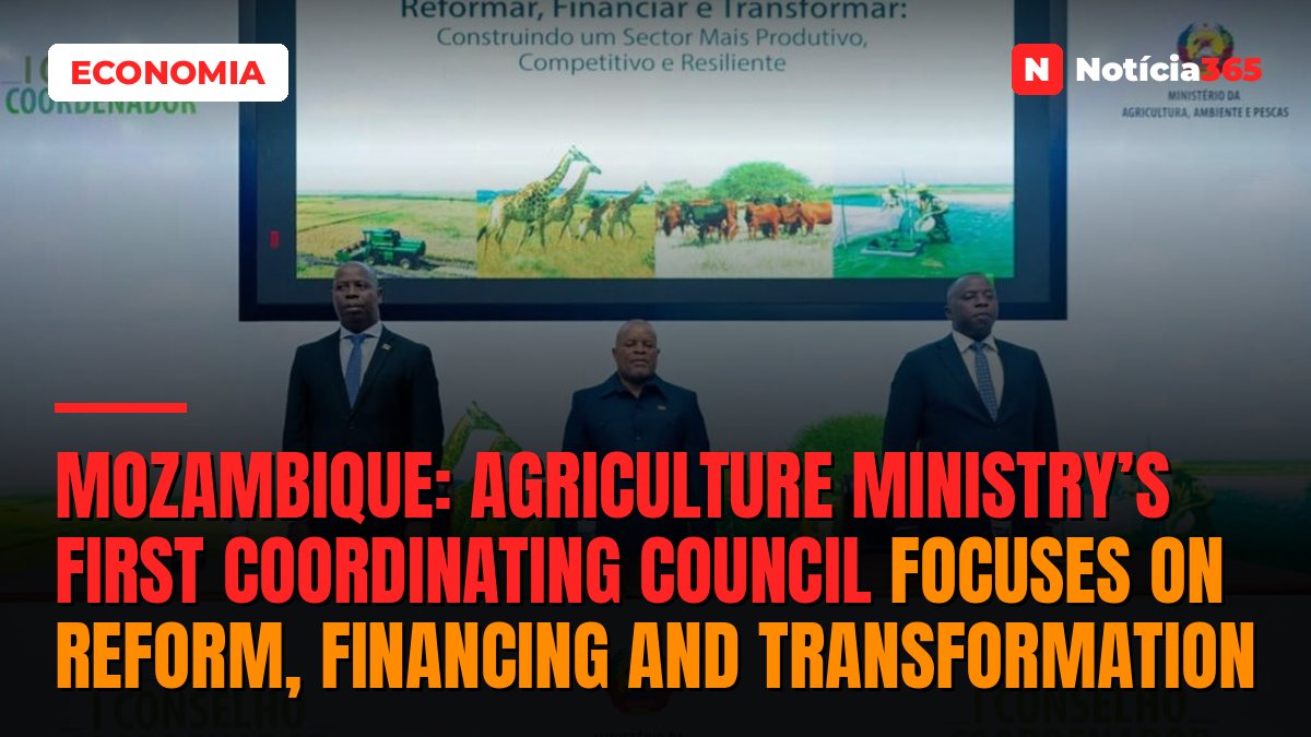Mozambique: Agriculture Ministry’s first coordinating council focuses on reform, financing and transformation