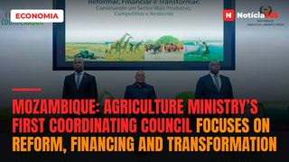 Mozambique: Agriculture Ministry’s first coordinating council focuses on reform, financing and transformation