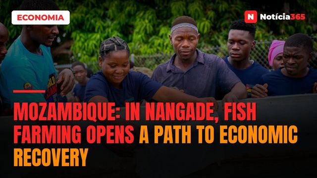 Mozambique: In Nangade, fish farming opens a path to economic recovery