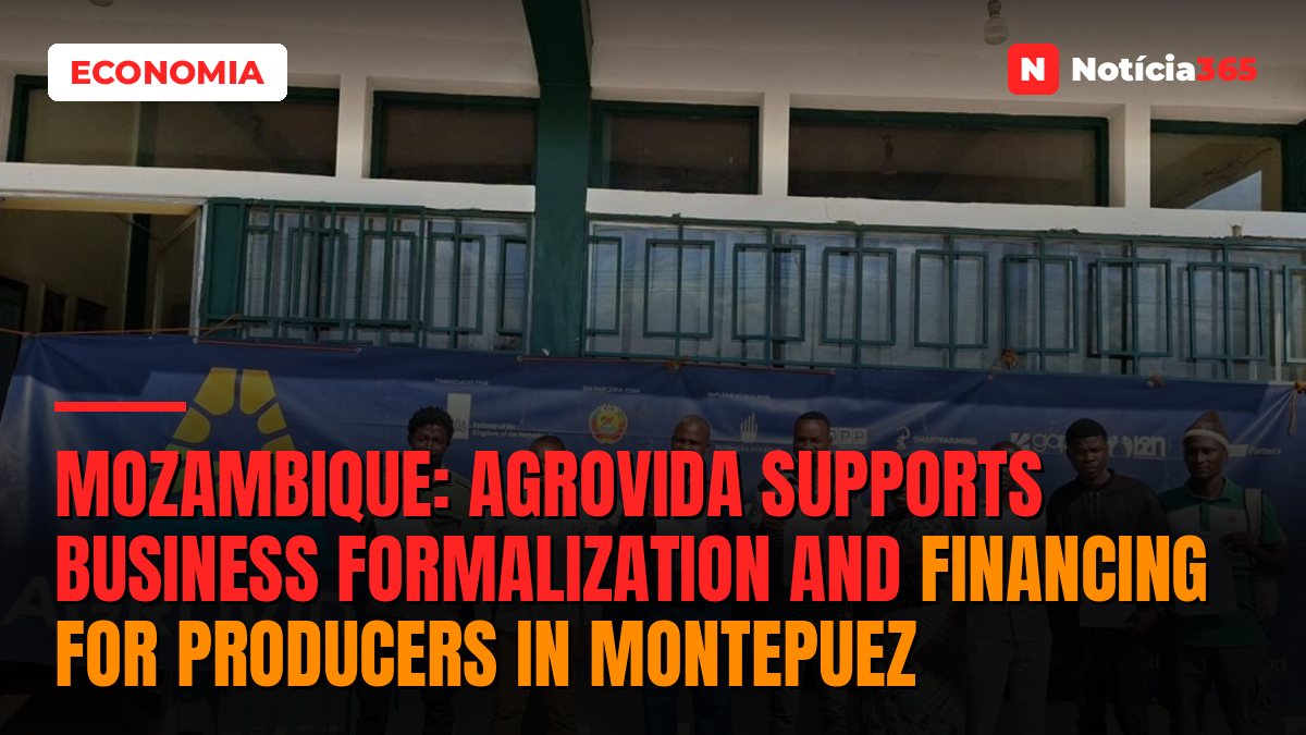 Mozambique: AGROVIDA supports business formalization and financing for producers in Montepuez