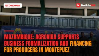 Mozambique: AGROVIDA supports business formalization and financing for producers in Montepuez