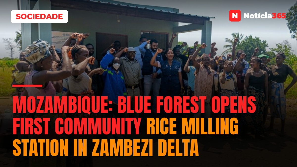 Mozambique: Blue Forest opens first community rice milling station in Zambezi Delta