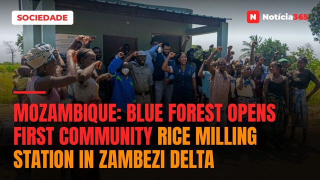 Mozambique: Blue Forest opens first community rice milling station in Zambezi Delta