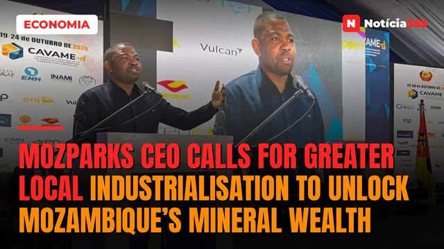 MozParks CEO calls for greater local industrialisation to unlock Mozambique’s mineral wealth