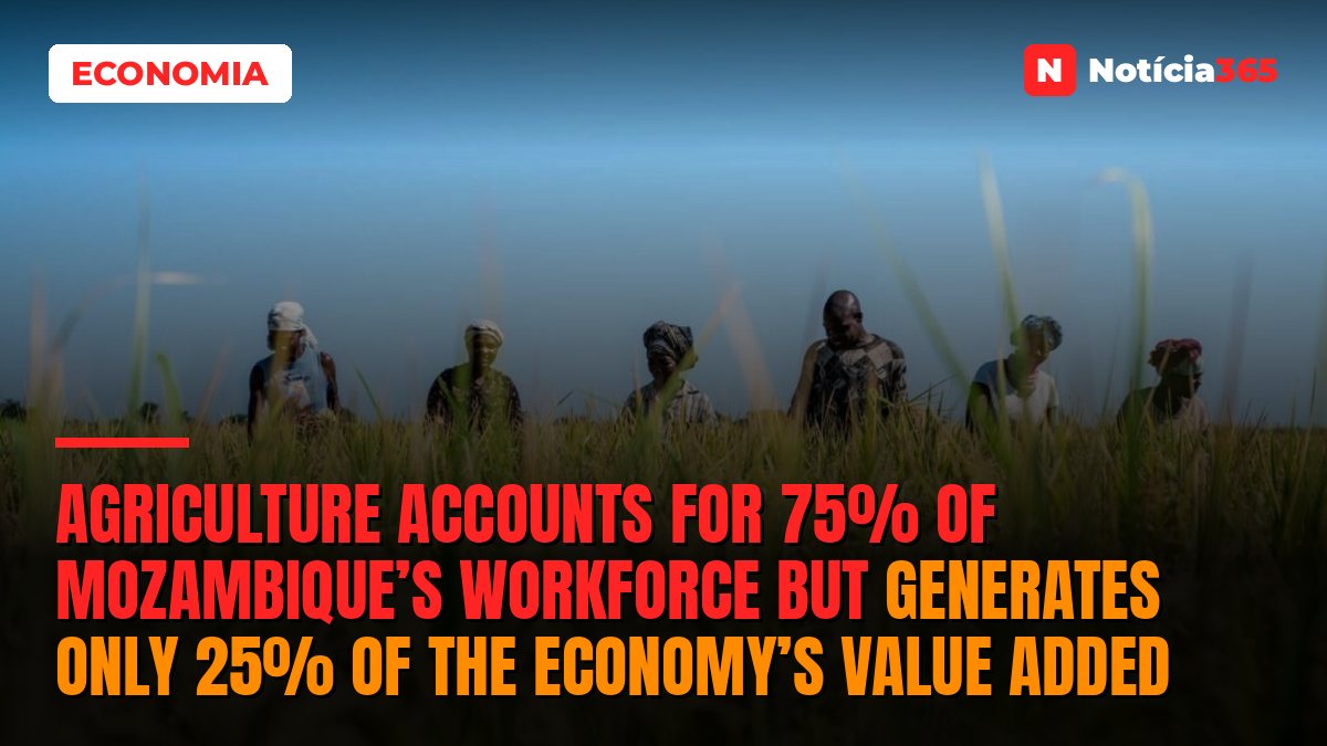 Agriculture accounts for 75% of Mozambique’s workforce but generates only 25% of the economy’s value added
