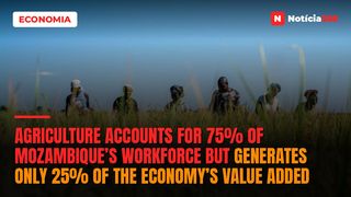 Agriculture accounts for 75% of Mozambique’s workforce but generates only 25% of the economy’s value added