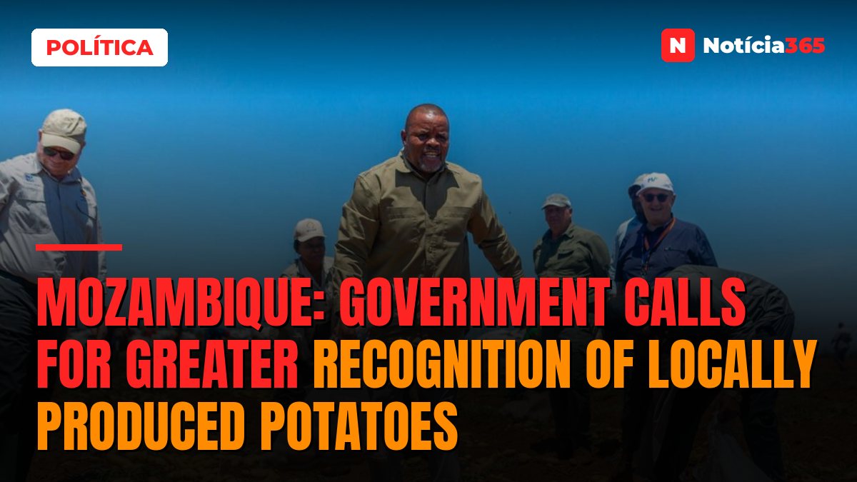 Mozambique: Government calls for greater recognition of locally produced potatoes