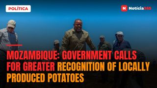 Mozambique: Government calls for greater recognition of locally produced potatoes