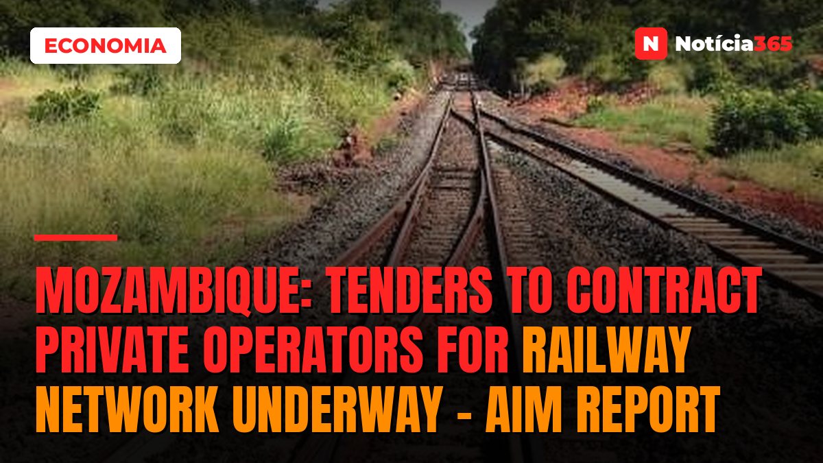 Mozambique: Tenders to contract private operators for railway network underway – AIM report