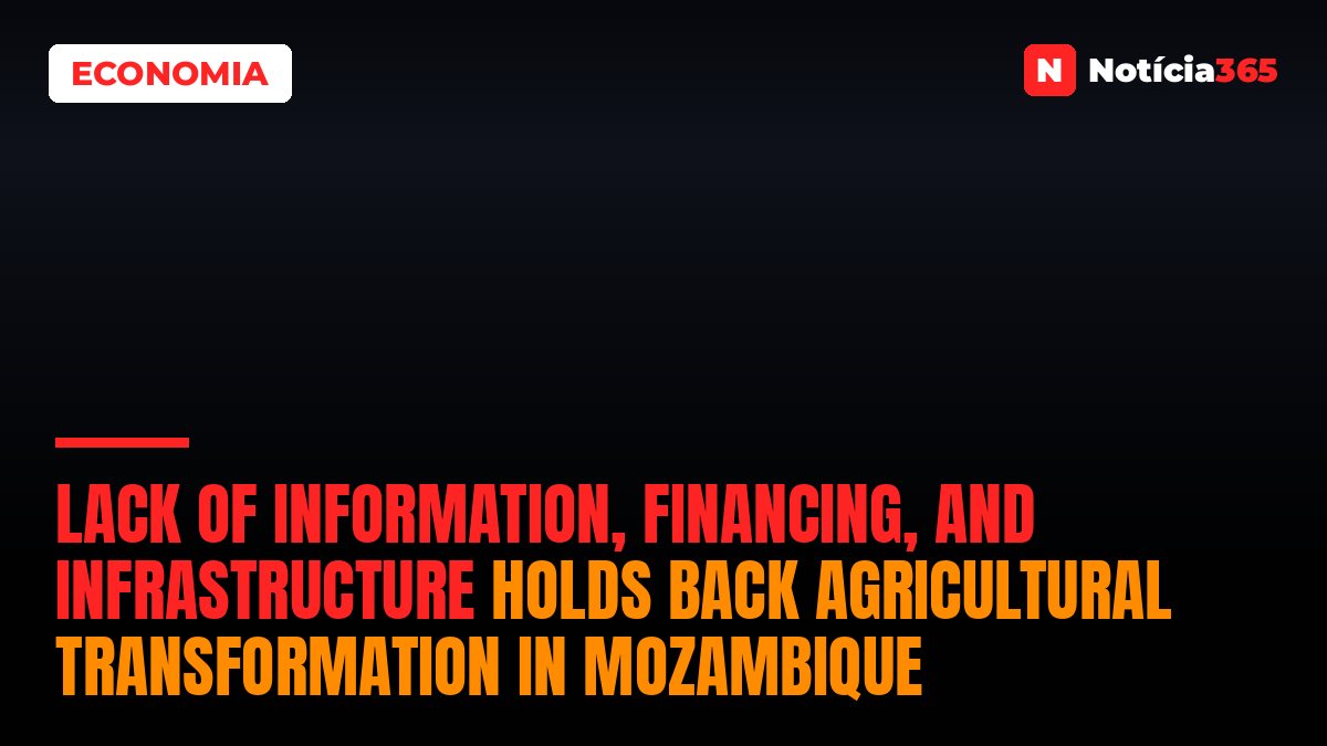 Lack of information, financing, and infrastructure holds back agricultural transformation in Mozambique