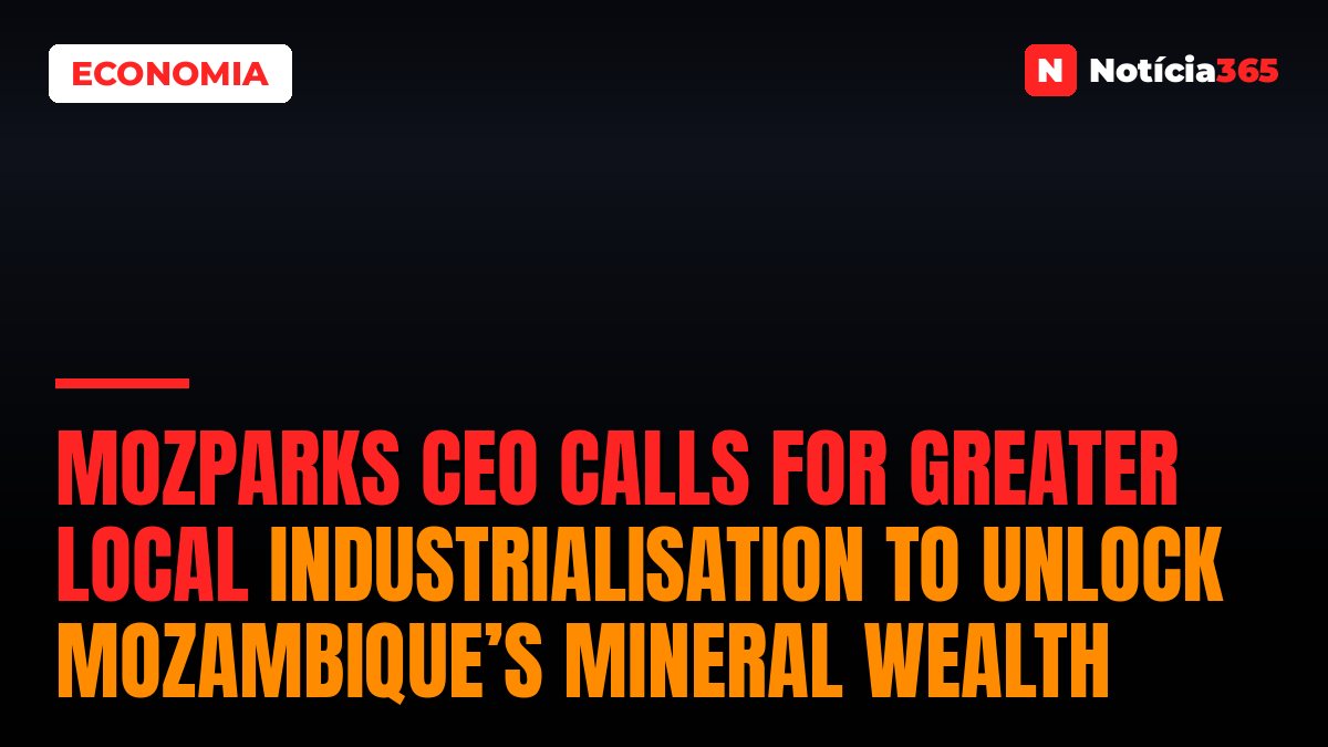 MozParks CEO calls for greater local industrialisation to unlock Mozambique’s mineral wealth