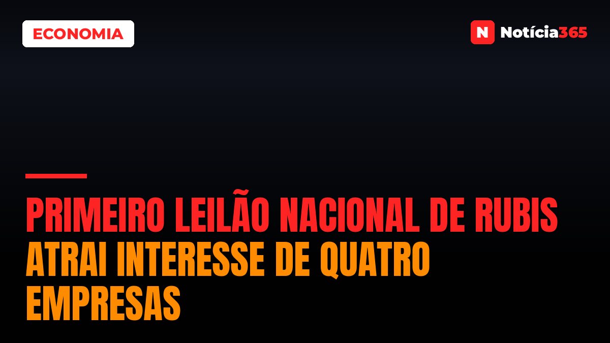 Primeiro Leilão Nacional de Rubis Atrai Interesse de Quatro Empresas