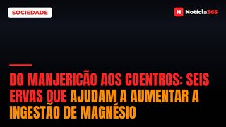 Do Manjericão Aos Coentros: Seis Ervas Que Ajudam a Aumentar a Ingestão de Magnésio