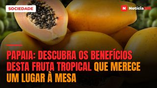 Papaia: Descubra os Benefícios Desta Fruta Tropical Que Merece um Lugar à Mesa