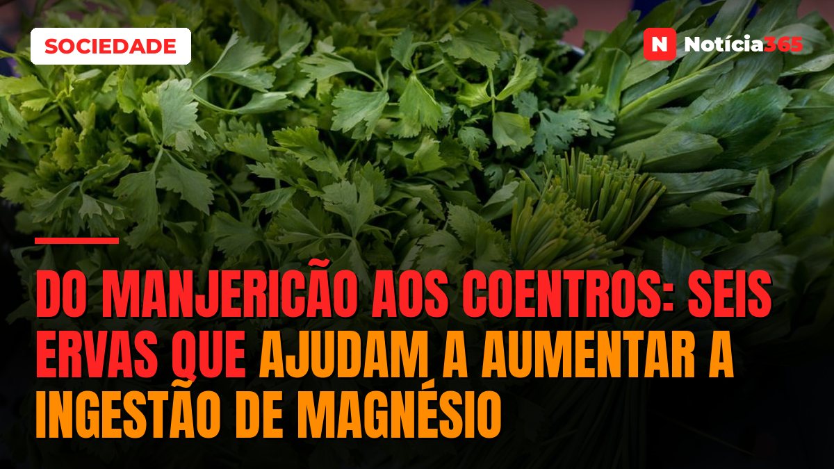 Do Manjericão Aos Coentros: Seis Ervas Que Ajudam a Aumentar a Ingestão de Magnésio