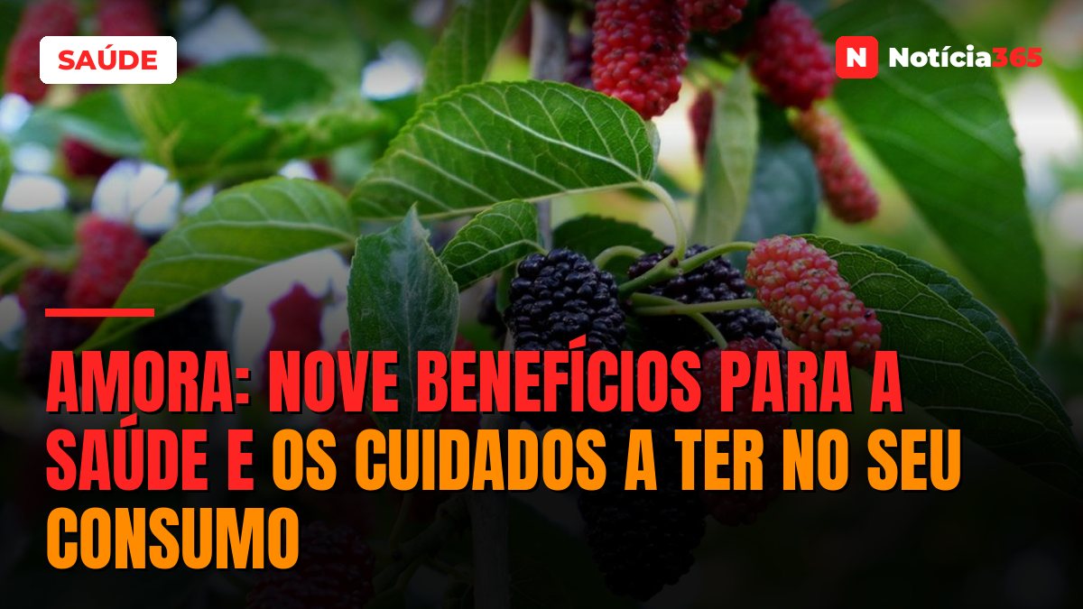 Amora: Nove Benefícios Para a Saúde e os Cuidados a Ter no Seu Consumo
