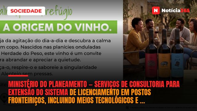Ministério do Planeamento — Serviços de Consultoria Para Extensão do Sistema de Licenciamento em Postos Fronteiriços, Incluindo Meios Tecnológicos e Formação Técnica