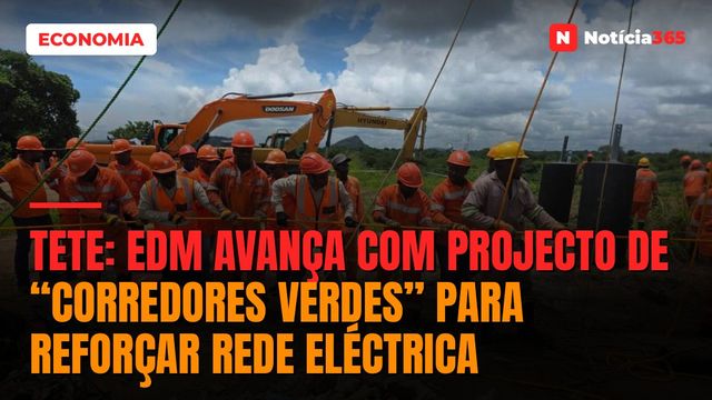 Tete: EDM Avança Com Projecto de “Corredores Verdes” Para Reforçar Rede Eléctrica